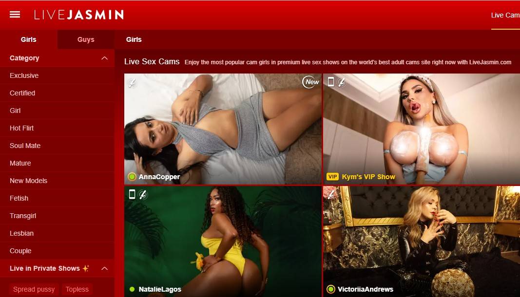 LiveJasmin — live cam platform overview and preview