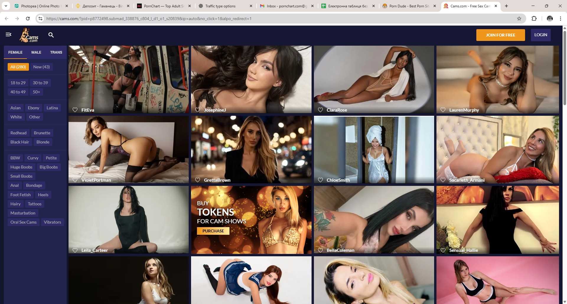 Cams.com webcam network preview