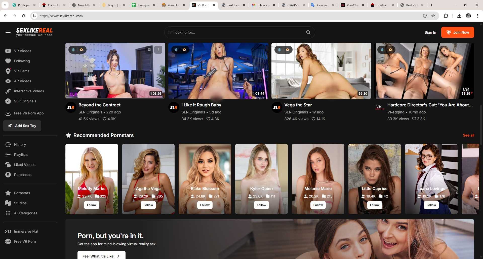 SexLikeReal VR