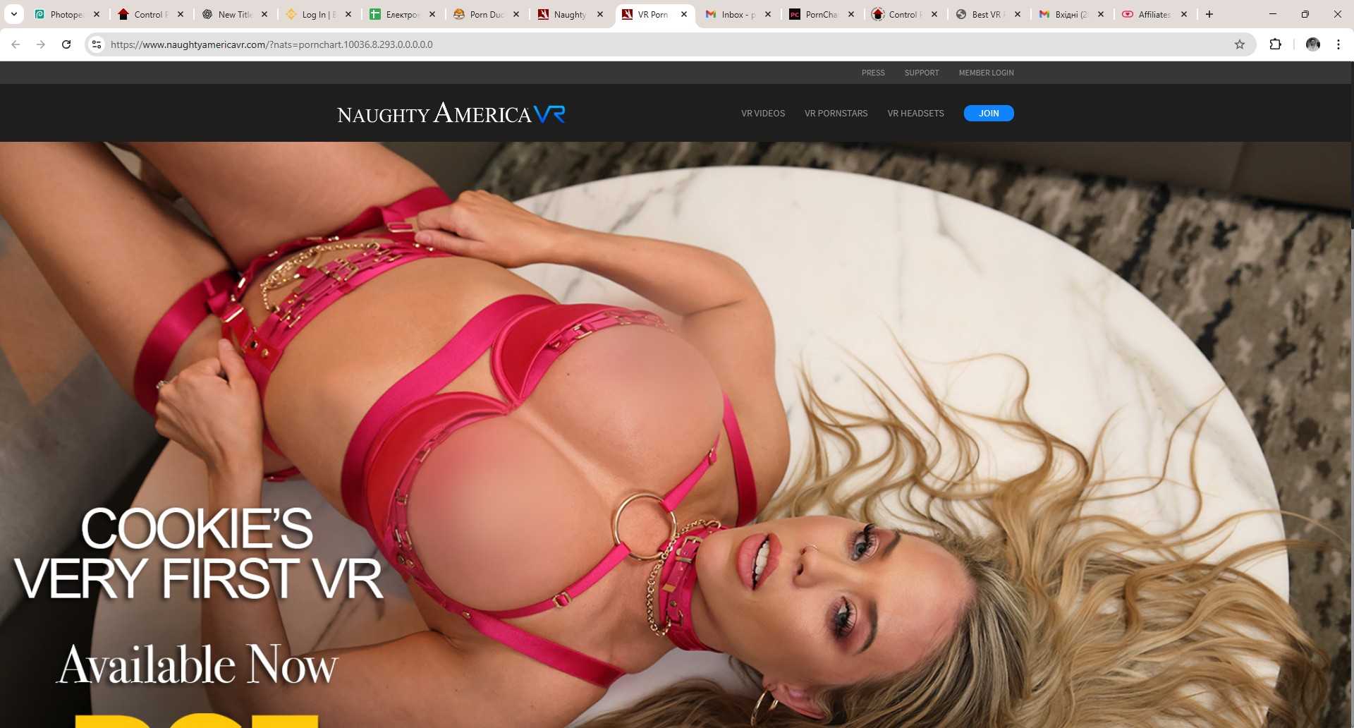 NaughtyAmerica VR