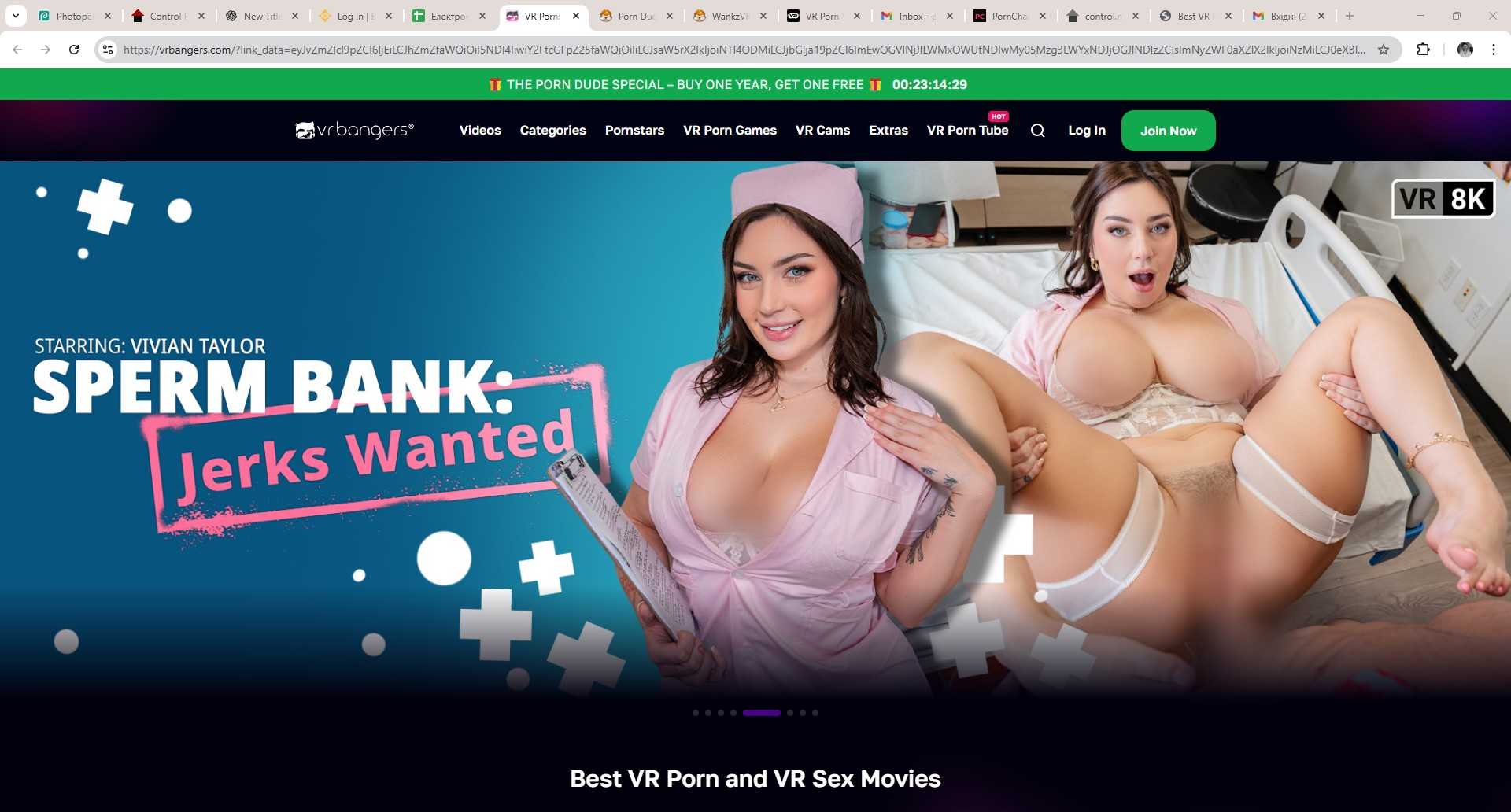 VRBangers