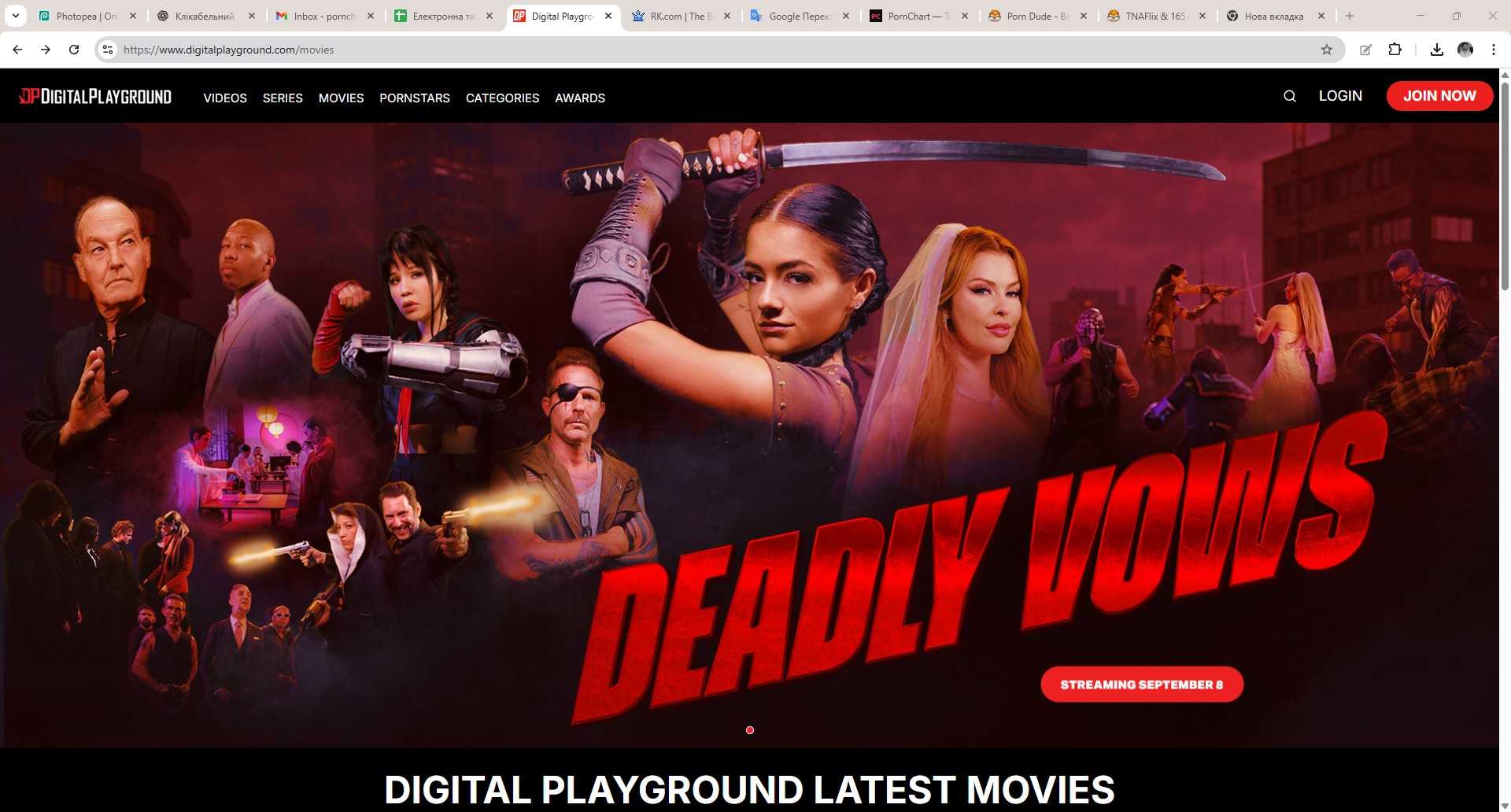 DigitalPlayground site preview image